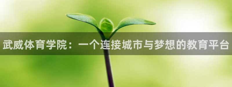 yy易游官方正版app科技：武威体育学院：一个连接城市与梦想