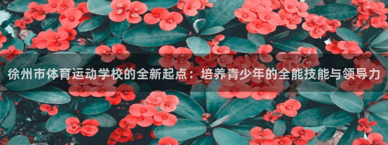 yy易游官网下载官方客服电话：徐州市体育运动学校的全