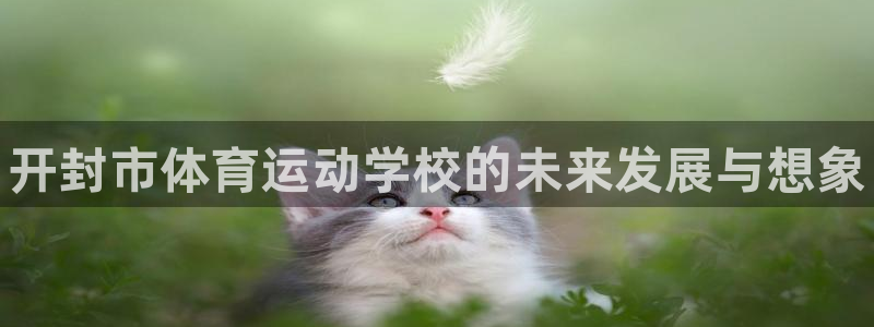 yy易游官网下载注册：开封市体育运动学校的未来发展与