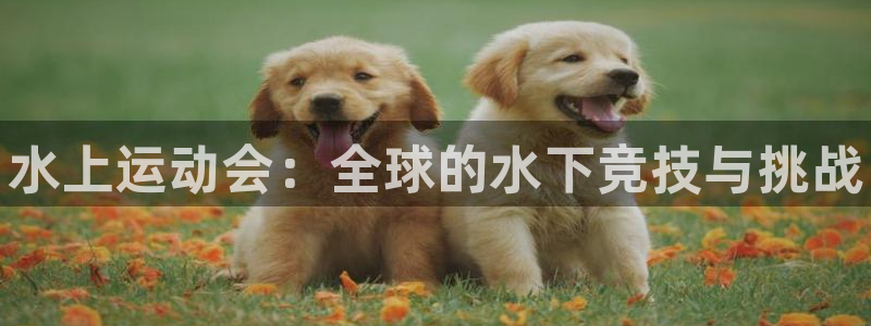 yy易游官网下载开户：水上运动会：全球的水下竞技与挑