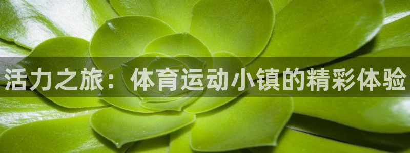 yy易游官方正版app娱乐40996：活力之旅：体育