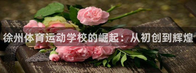 yy易游官网下载招商电话是多少：徐州体育运动学校的崛