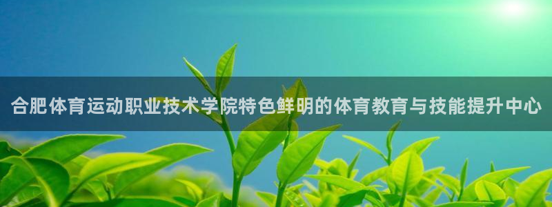 yy易游官网下载平台是正规平台吗安全吗：合肥体育运动