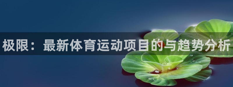 yy易游官网下载招商电话：极限：最新体育运动项目的与