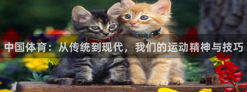 yy易游官网下载招商电话地址查询：中国体育：从传统到