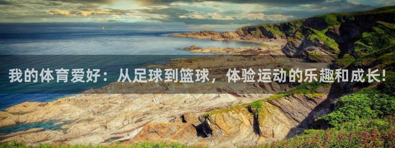 yy易游官方正版app娱乐首页网站大全：我的体育爱好