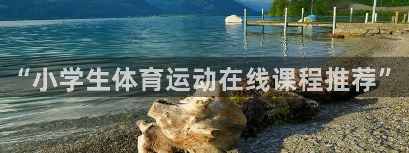 yy易游官网下载招商：“小学生体育运动在线课程推荐”