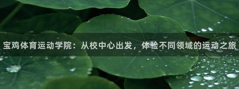 德国yy易游官方正版app集团：宝鸡体育运动学院：从