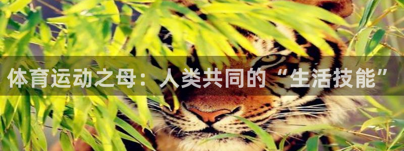 yy易游官网下载：体育运动之母：人类共同的“生活技能