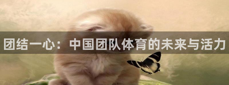 yy易游官网下载平台假的吗是真的吗：团结一心：中国团