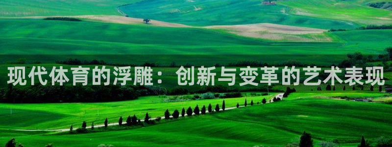 yy易游官网下载平台注册要钱吗：现代体育的浮雕：创新
