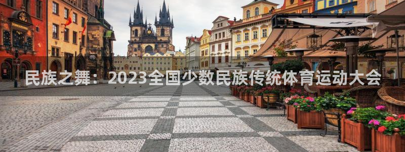 yy易游官网下载注册：民族之舞：2023全国少数民族