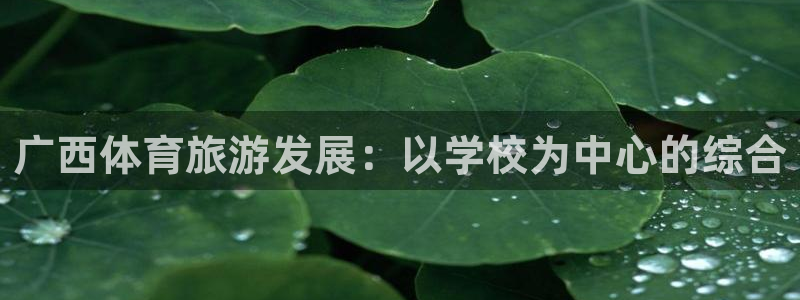 yy易游官网下载招商电话地址是多少：广西体育旅游发展