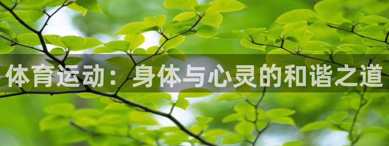 yy易游官网下载联系电话：体育运动：身体与心灵的和谐