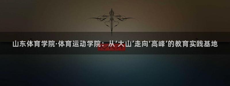 yy易游官网下载平台注册流程视频：山东体育学院·体育
