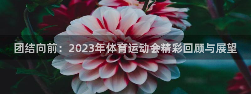 yy易游官方正版app五金厂：团结向前：2023年体育运动会