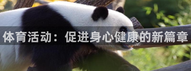 yy易游官网下载招商：体育活动：促进身心健康的新篇章