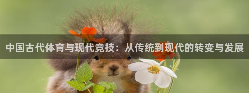 yy易游官网下载平台APP：中国古代体育与现代竞技：从传统到