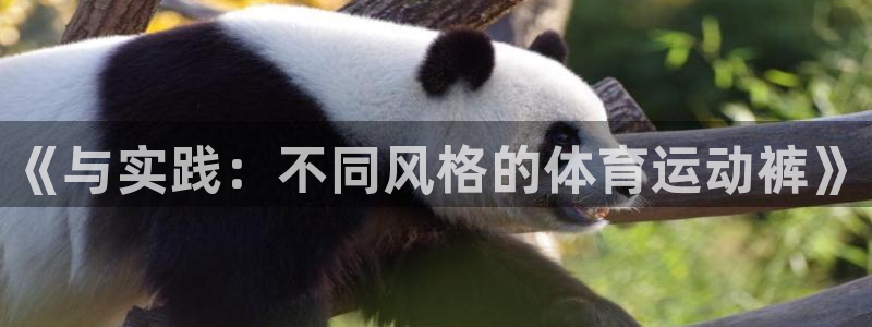 yy易游官方正版app神州：《与实践：不同风格的体育运动裤》