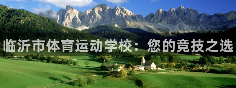 yy易游官方正版app娱乐代理怎么样：临沂市体育运动学校：您