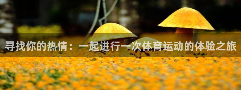 yy易游官方集团官网：寻找你的热情：一起进行一次体育运动的体