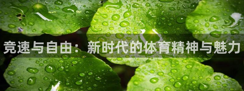 yy易游官方正版app新能源：竞速与自由：新时代的体育精神与