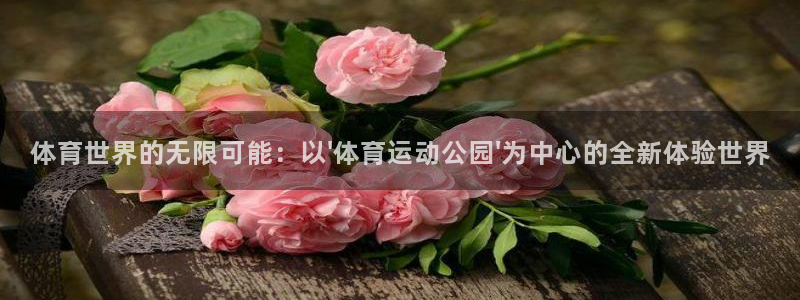 yy易游官网下载开户：体育世界的无限可能：以\'体育运动公园