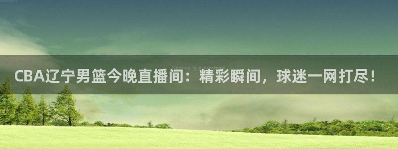鲸鱼体育直播在线观看免费：CBA辽宁男篮今晚直播间：精彩瞬间，球迷一网打尽！