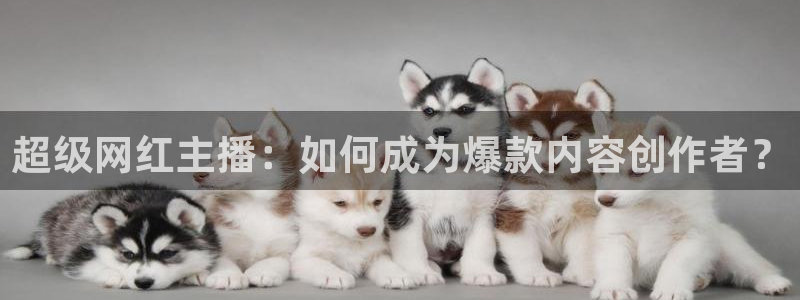 鲸鱼直播官网：超级网红主播：如何成为爆款内容创作者？