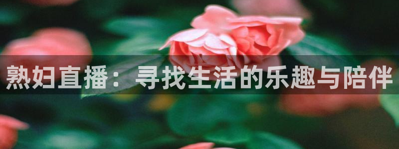 nba直播鲸鱼：熟妇直播：寻找生活的乐趣与陪伴