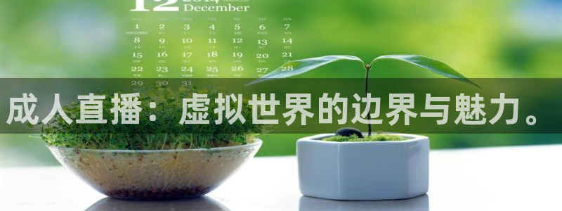 鲸鱼体育app下载安装最新版：成人直播：虚拟世界的边界与魅力。