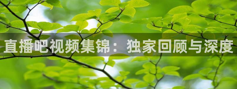 鲸鱼体育赛事直播：直播吧视频集锦：独家回顾与深度