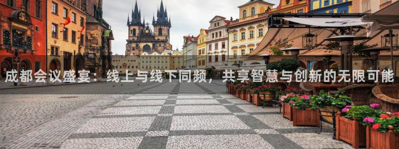 鲸鱼体育app官网版：成都会议盛宴：线上与线下同频，共享智慧与创新的无限可能