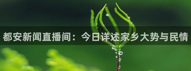 鲸鱼体育直播app官网下载：都安新闻直播间：今日详述家乡大势与民情