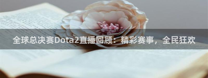 鲸鱼体育在线直播高清：全球总决赛Dota2直播回顾：精彩赛事，全民狂欢