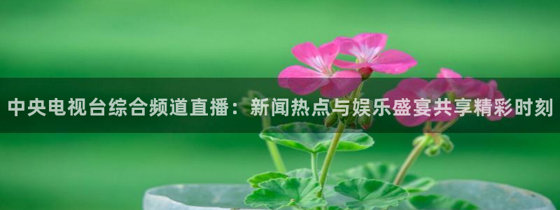 鲸鱼体育在线观看：中央电视台综合频道直播：新闻热点与娱乐盛宴共享精彩时刻