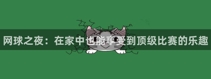 鲸鱼体育直播在线观看高清：网球之夜：在家中也能享受到顶级比赛的乐趣