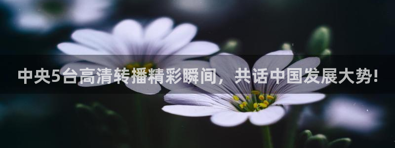 鲸鱼体育足球直播：中央5台高清转播精彩瞬间，共话中国发展大势!