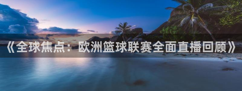 鲸鱼体育在线直播高清：《全球焦点：欧洲篮球联赛全面直播回顾》