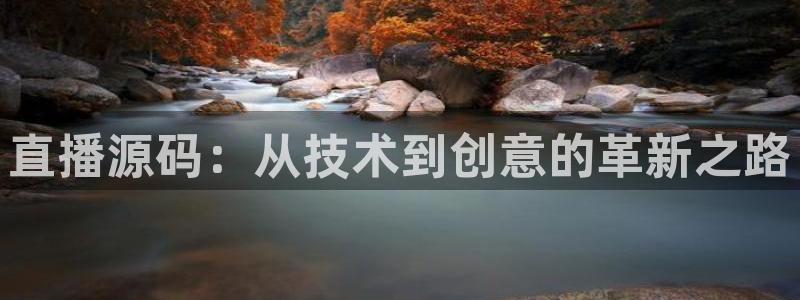 鲸鱼体育直播免费：直播源码：从技术到创意的革新之路