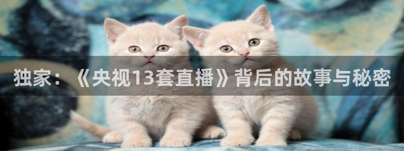 鲸鱼体育直播app：独家：《央视13套直播》背后的故事与秘密