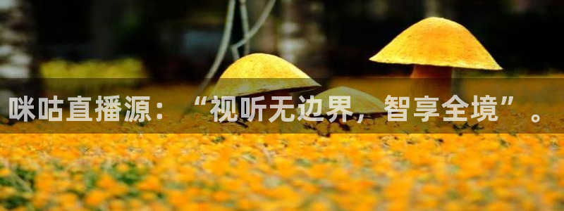 鲸鱼看球直播：咪咕直播源：“视听无边界，智享全境”。