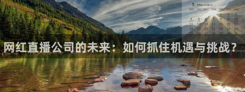 nba鲸鱼体育：网红直播公司的未来：如何抓住机遇与挑战？